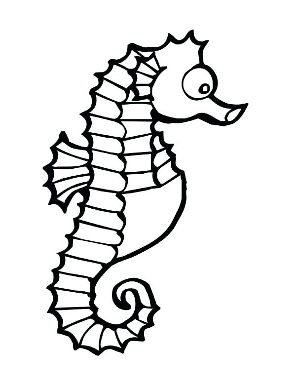 600x776 Seahorse Print Out Underwater Canvas Print Featuring The Drawing