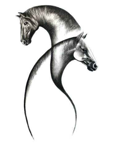 375x469 Drawing A Seahorse