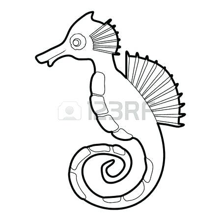 450x450 Outline Of Seahorse