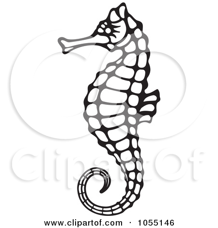 450x470 Realistic Seahorse Clipart