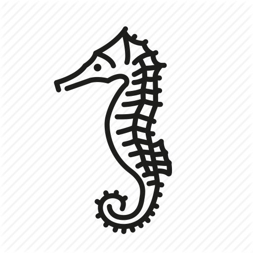 512x512 Drawing Seahorse Sea Life Transparent Png Clipart Free Download