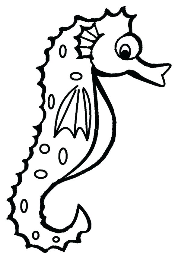 Realistic Seahorse Drawing | Free download on ClipArtMag