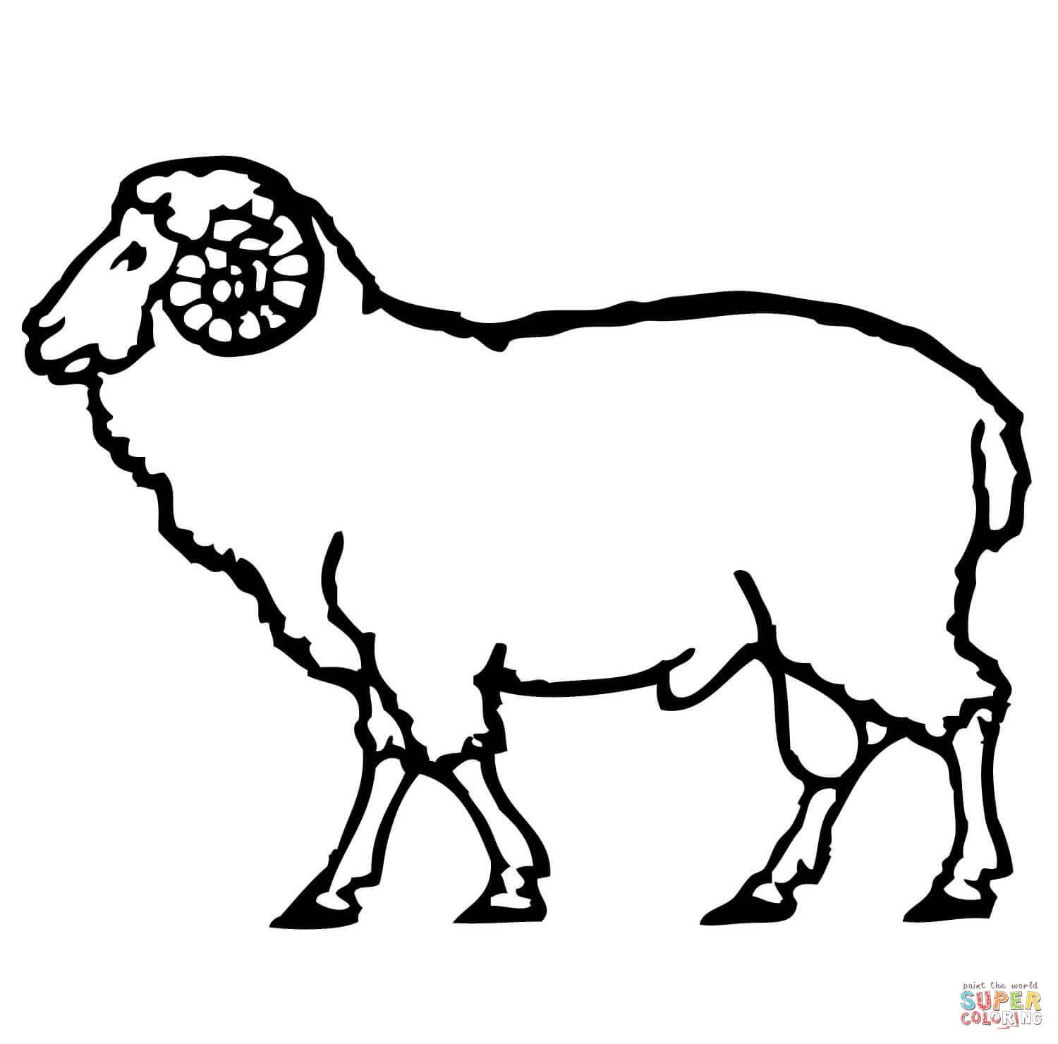 Realistic Sheep Drawing