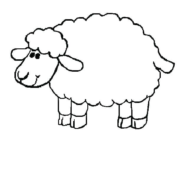 600x600 Sheep Coloring