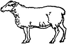 236x157 Best Lambs Sheep Images Sheep, Drawing S, Drawings