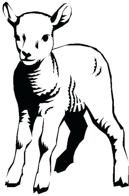 413x624 How To Draw A Lamb Running