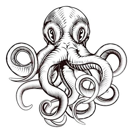 447x450 How To Draw A Realistic Octopus