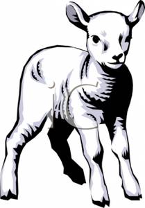 209x300 A Colorful Cartoon Of A Baby Lamb