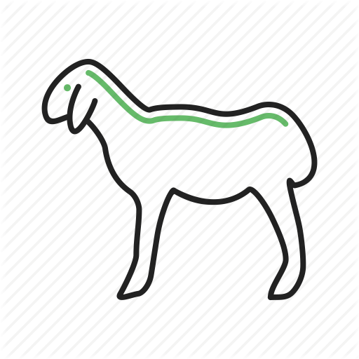 512x512 Drawing Sheep Domestic Animal Transparent Png Clipart Free