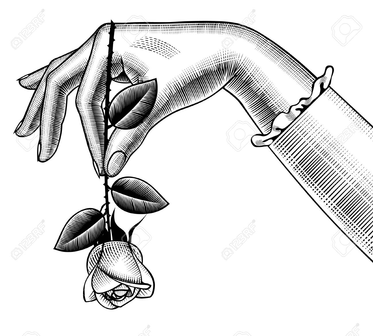 1300x1171 Huge Collection Of 'holding A Rose Drawing' Download More Than