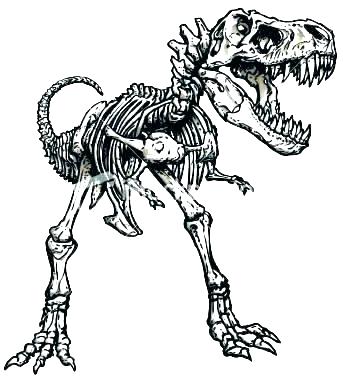 343x380 Dinosaur Bones Coloring Sheets