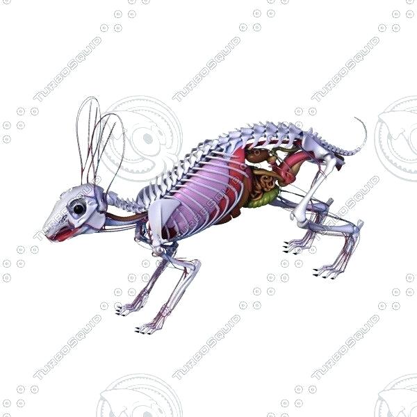 600x600 Bunny Drawings Image Bunny Drawings Realistic