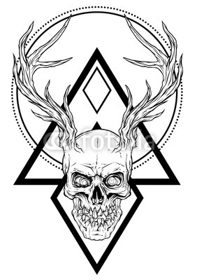 282x400 Detailed Graphic Realistic Horrible Black And White Human Skull