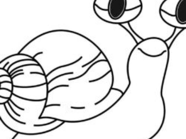 640x480 Snail Clipart Realistic