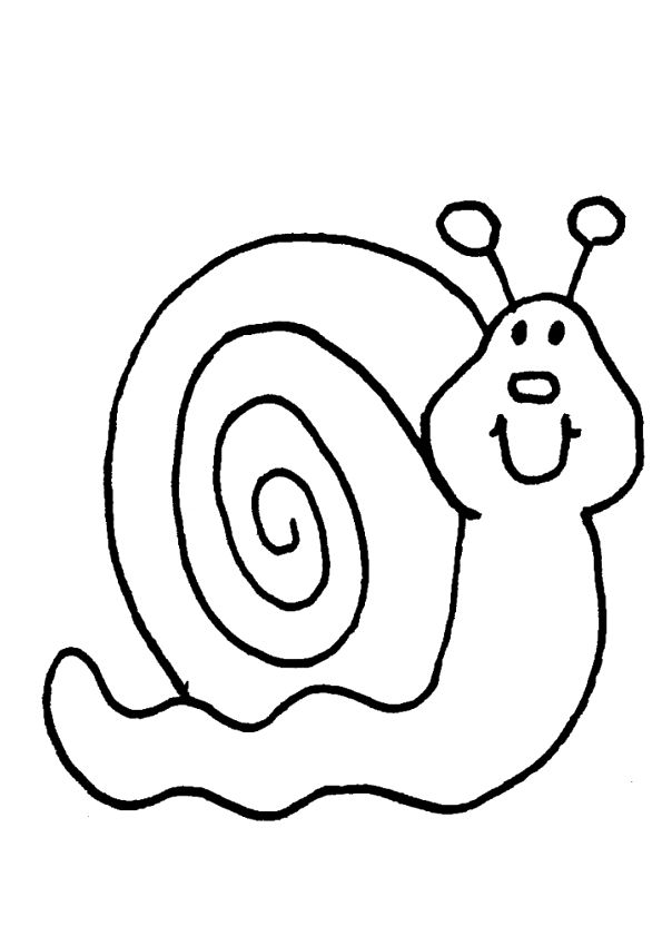 595x841 Snail Drawing Free Download