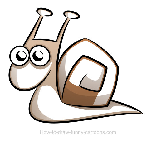 500x455 Snail Drawings