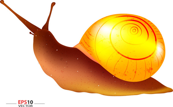 598x368 Vector Snail For Free Download
