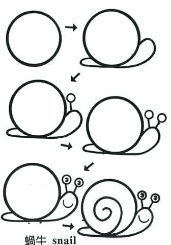 336x480 How Do You Draw A Snail