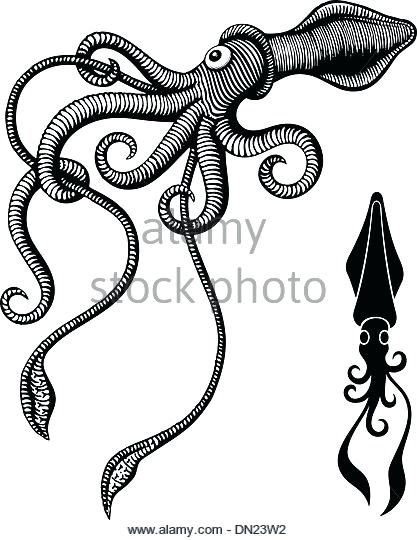 417x540 Cute Squid Clip Art