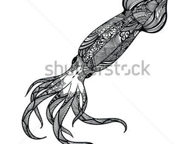 640x480 Free Drawn Squid, Download Free Clip Art