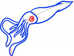 302x229 how to draw a giant squid, giant squid, step