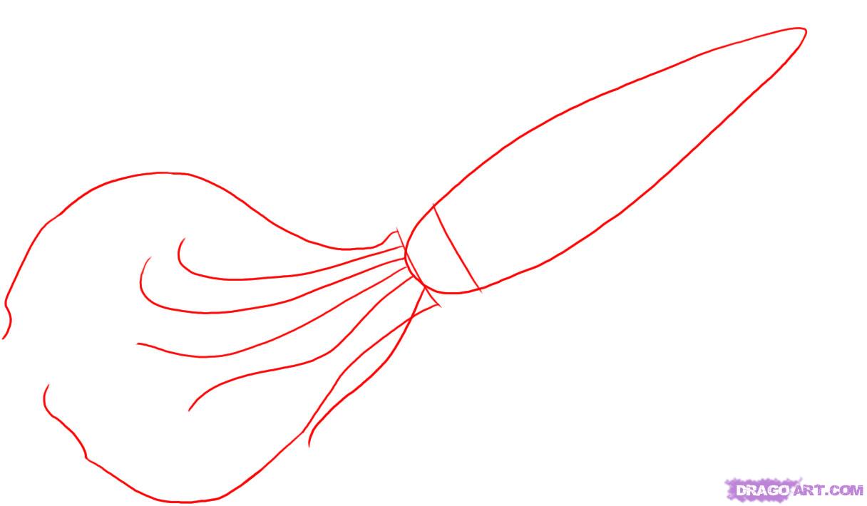 1216x710 How To Draw A Squid, Step