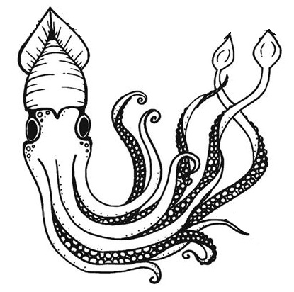 415x412 realistic and cartoon squid themed undersea coloring pages