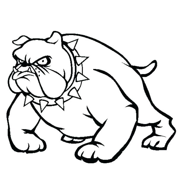 600x612 Pitbull Coloring Pages