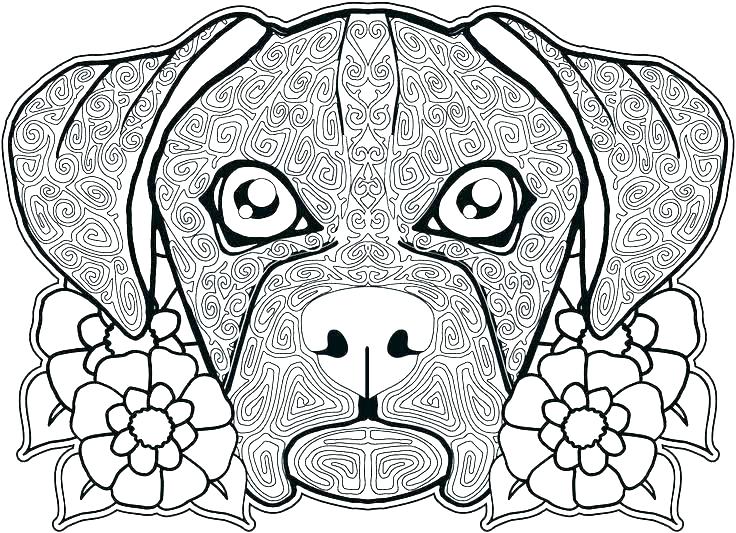 736x533 Simple Sugar Skull Coloring Pages Animals Easy Porongurup