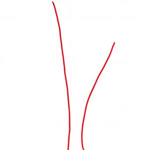 283x302 Draw Realistic Mushrooms, Step