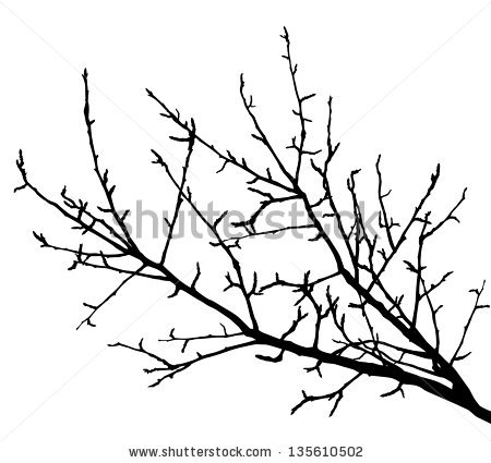 450x425 Realistic Apple Tree Drawing