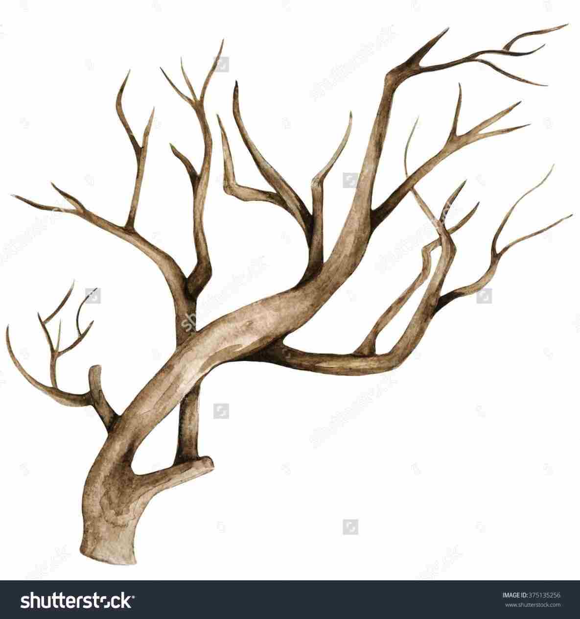 1185x1264 Realistic Tree Branch Drawing Drawing Fine Art