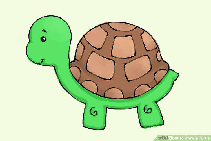 728x485 Easy Turtle Drawing Full Size Of To Draw A Realistic Turtle Step