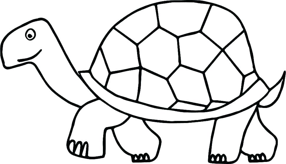 970x556 Sea Turtle Coloring