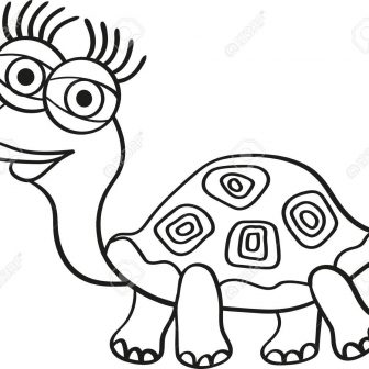 336x336 Turtle And Drawing Tags Cow Drawings Cool Color Pages Simple
