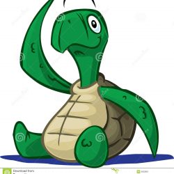 250x250 Turtle Drawing Cute Face Realistic From Above Outline Sea I