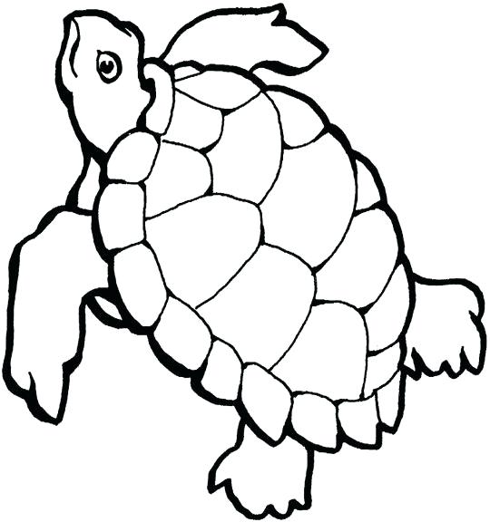 540x576 Turtle Drawing Outline Sea Turtle Outline Luxury Coloring Pages