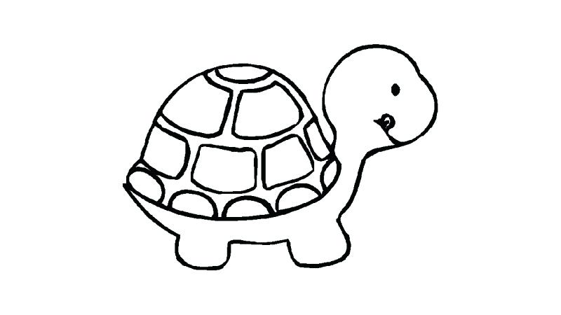 800x450 Draw A Turtle Easy Turtle Drawing Step