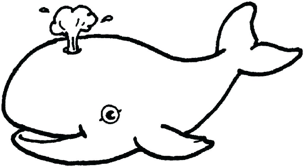 1024x565 Ocean Animals Coloring Pages Pages Of Sea Sea Animal Coloring Pa