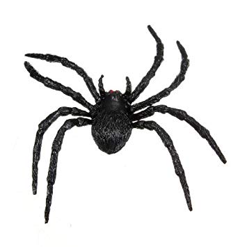 355x355 Water Wood Black Fake Artificial Spiders Creepy Realistic Party