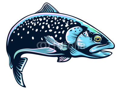 400x300 Realistic Drawing Of The Rainbow Trout Jumping Out Water Sketch