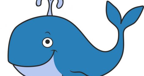 471x250 Whale Drawing Realistic Cute Line Tumblr Step Pictures Colour I