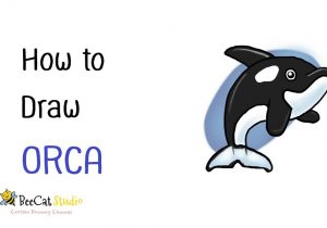 300x210 cartoon orca drawing orca black and white arctic killer whale