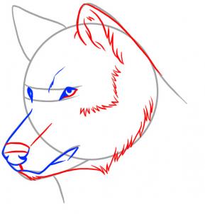 289x302 How To Draw A Realistic Wolf, Draw Real Wolf, Step