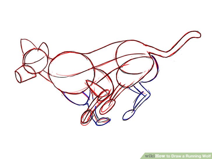 728x546 How To Draw A Running Wolf Steps