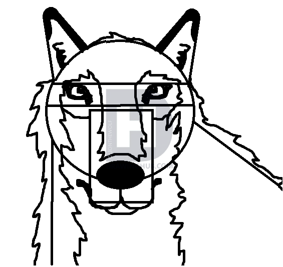 565x534 How To Draw A Realistic Wolf Step