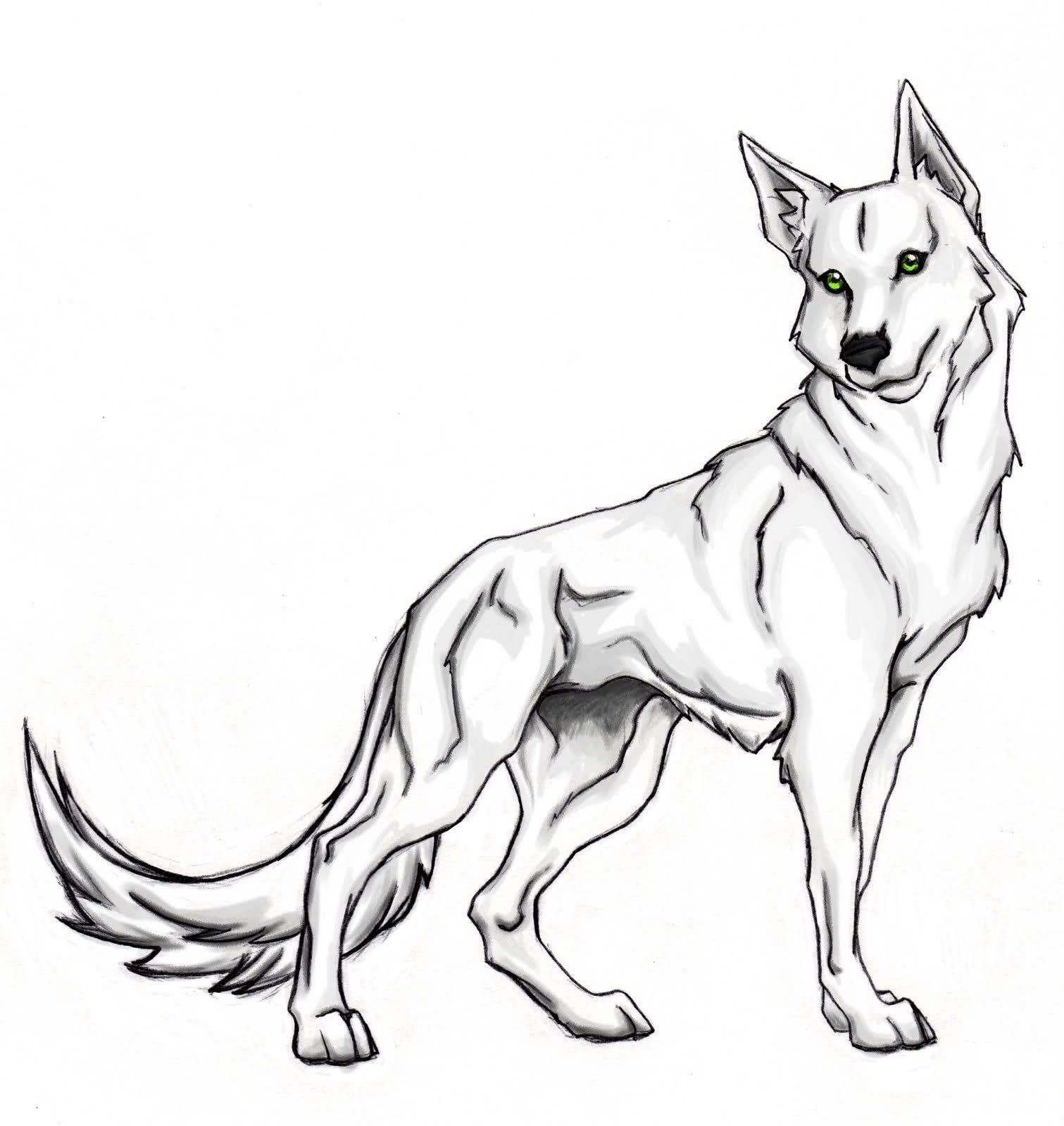 1511x1600 Wolf Coloring Pages For Kids Cute Wolf Coloring