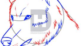 280x158 How Do You Draw A Realistic Wolf Eye How