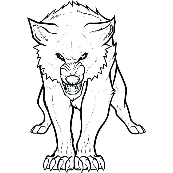 736x736 Realistic Puppy Coloring Pages Dog Of Cute Wolf Pup And Me