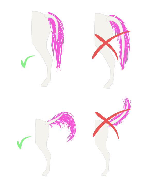 600x701 How To Draw Animals Horses, Their Anatomy And Poses